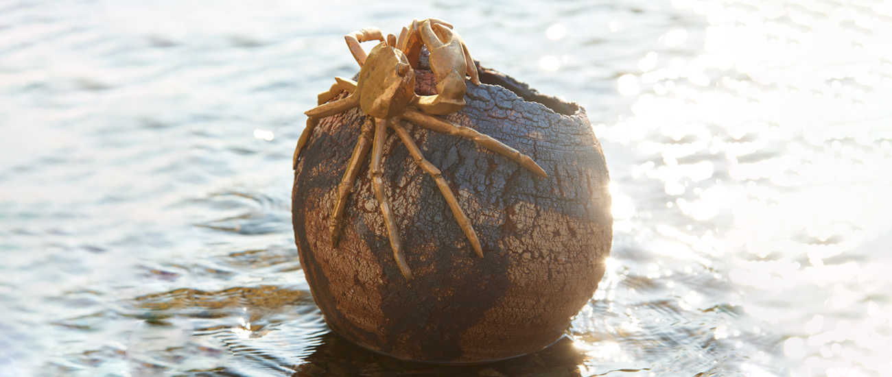 Crab on Cracked Pot